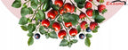 Ziemia Ogrodowa BIO Kompost 1050L do pomidorów warzyw rozsad PALETA